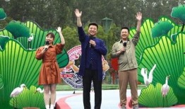 张大炮最新爆料新闻视频,最新爆料新闻视频深度解析